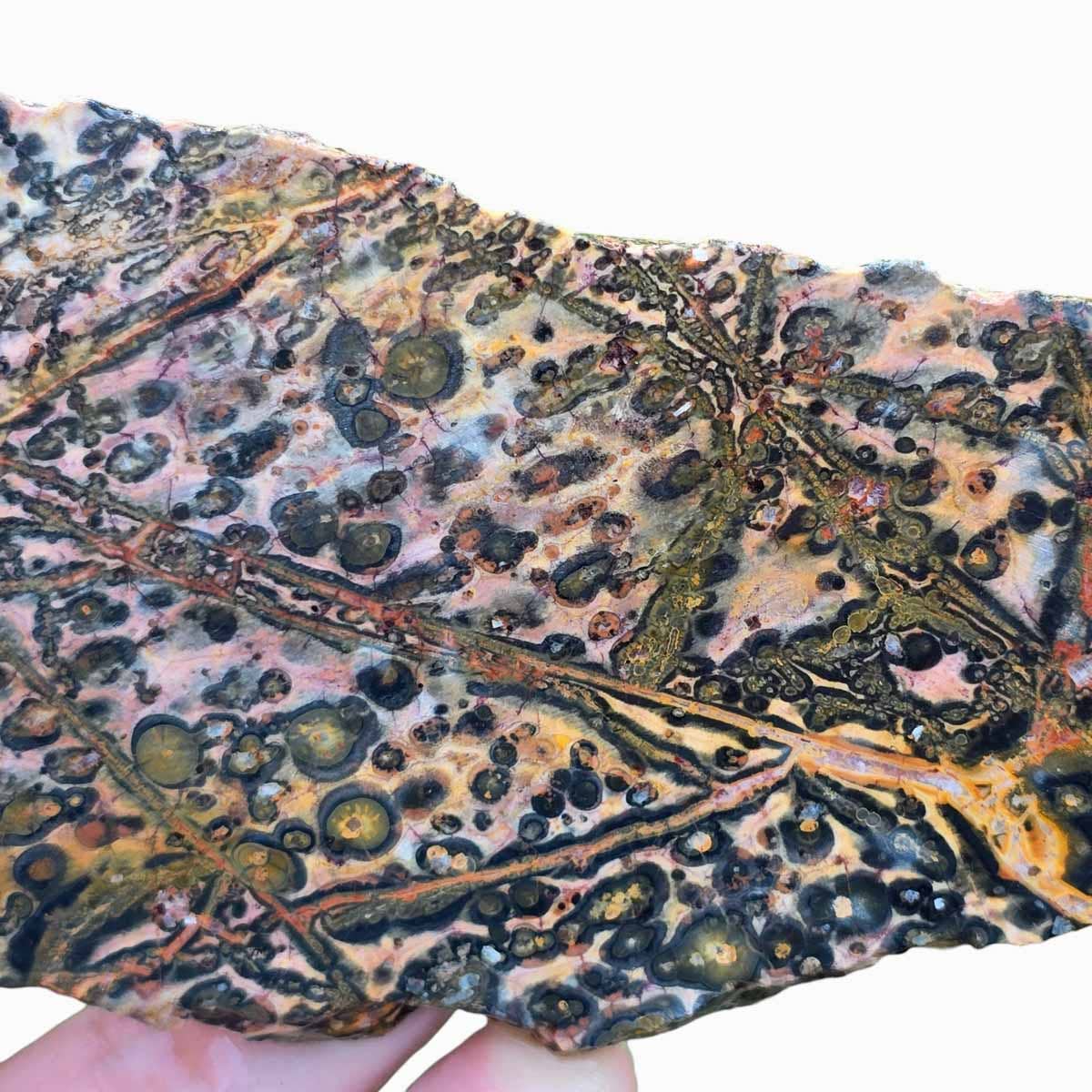 Lapidary Central – wholesale Spiritual stone/crystal – Leopard Skin Rhyolite Slab  Lapidary Stone Slab1