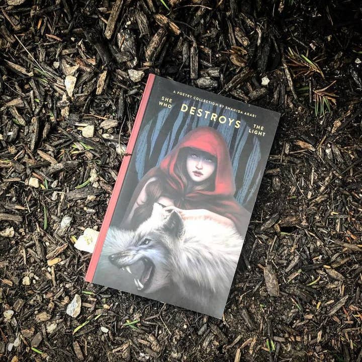 Thought Catalog - Wholesale Poetry & Drama - She Who Destroys The Light: Fairy Tales Gone Wrong - book5