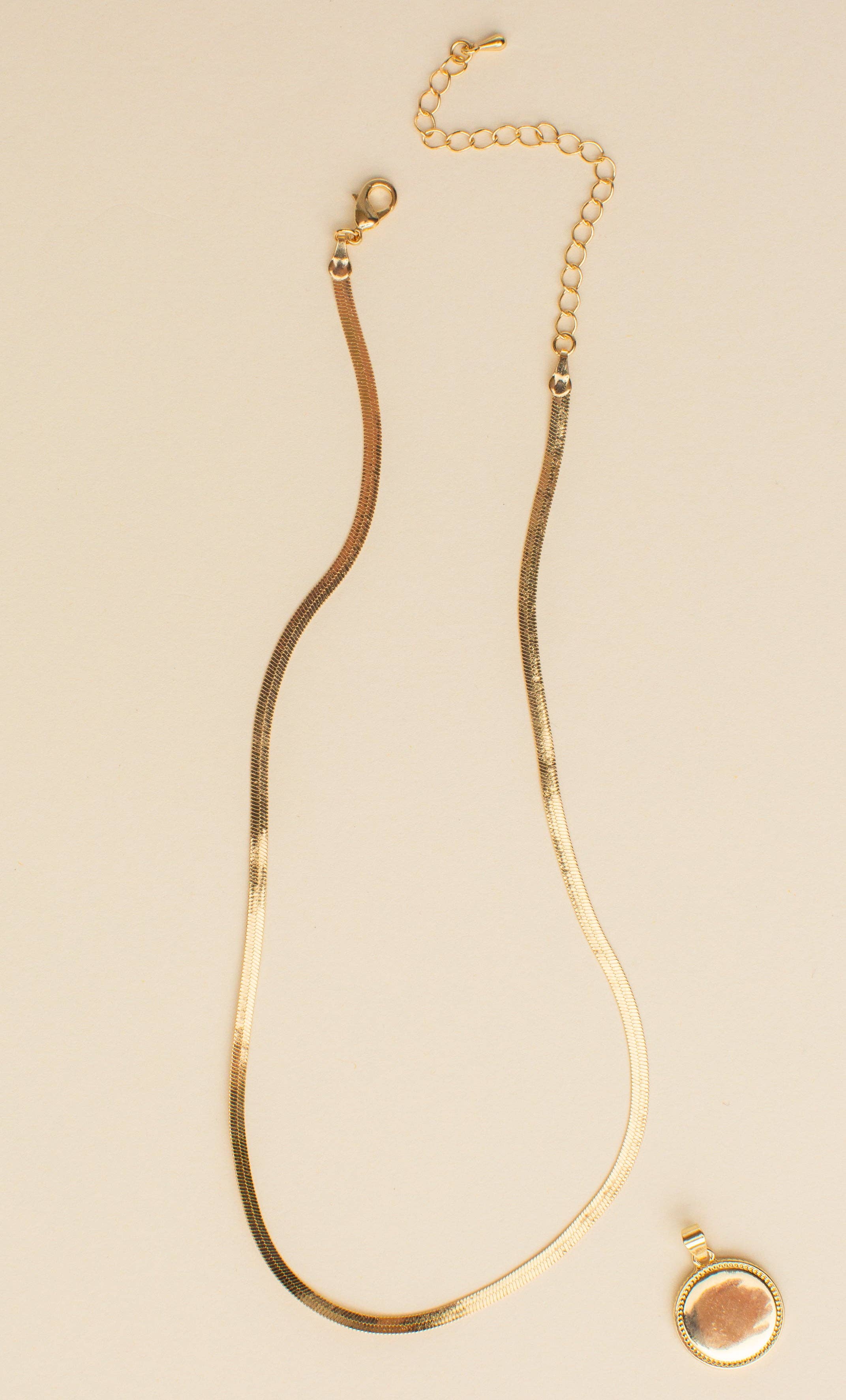 Jill Michael Jewelry - Wholesale Pendant/Charm Necklace - Banks Statement Coin Herringbone Necklace4