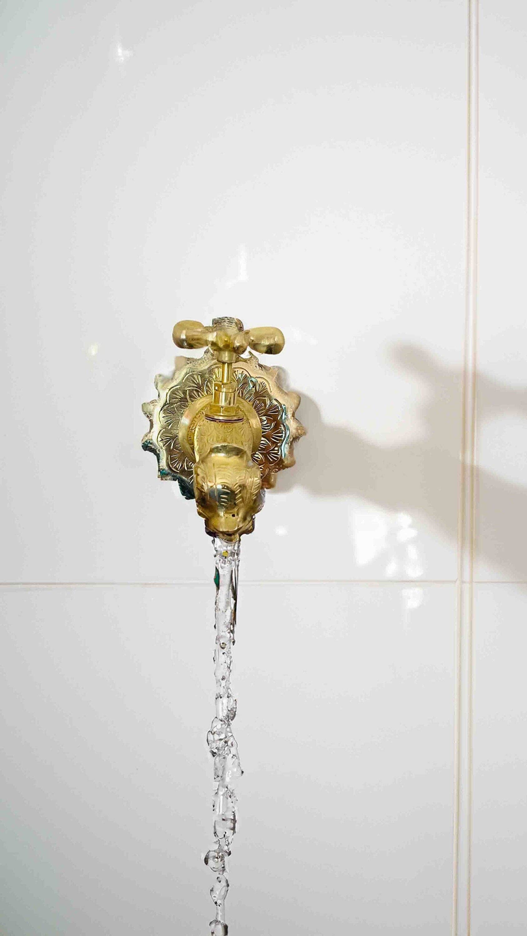 Palmeraies - Wholesale  - Brass Bathroom Faucet - Unlacquered Bathroom Faucet0