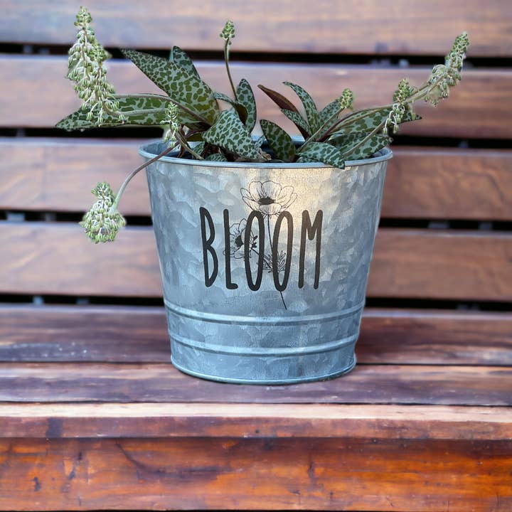 The Savvy Spade - Wholesale Plant Pot - Bloom Galvanized Bucket Planter Pot