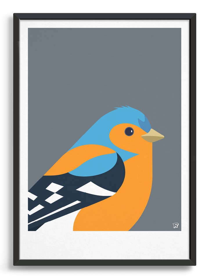 Bird art print – Chaffinch for wholesale by Rocket Jack