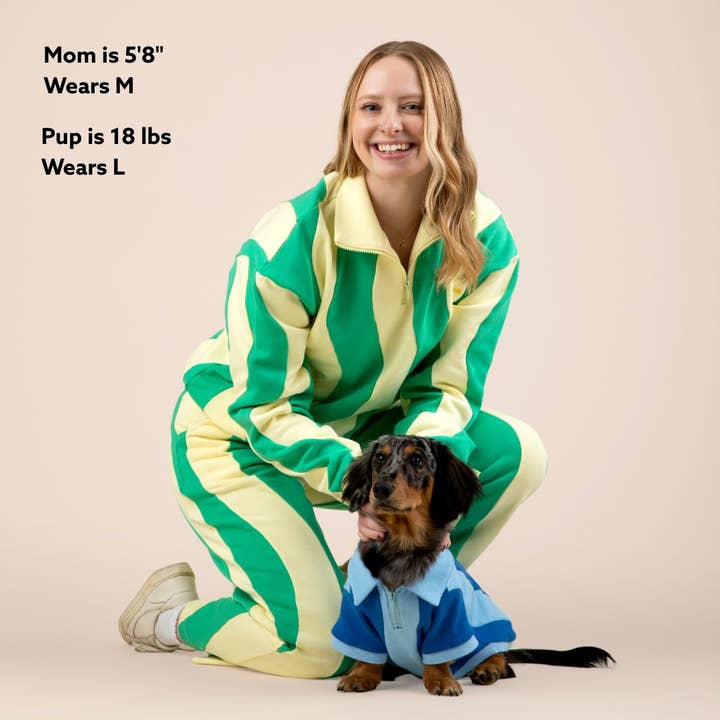 Sunbean - Wholesale Pet Sweater - Dog - Ziggy Cotton Dog Quarter-Zip Pullover10