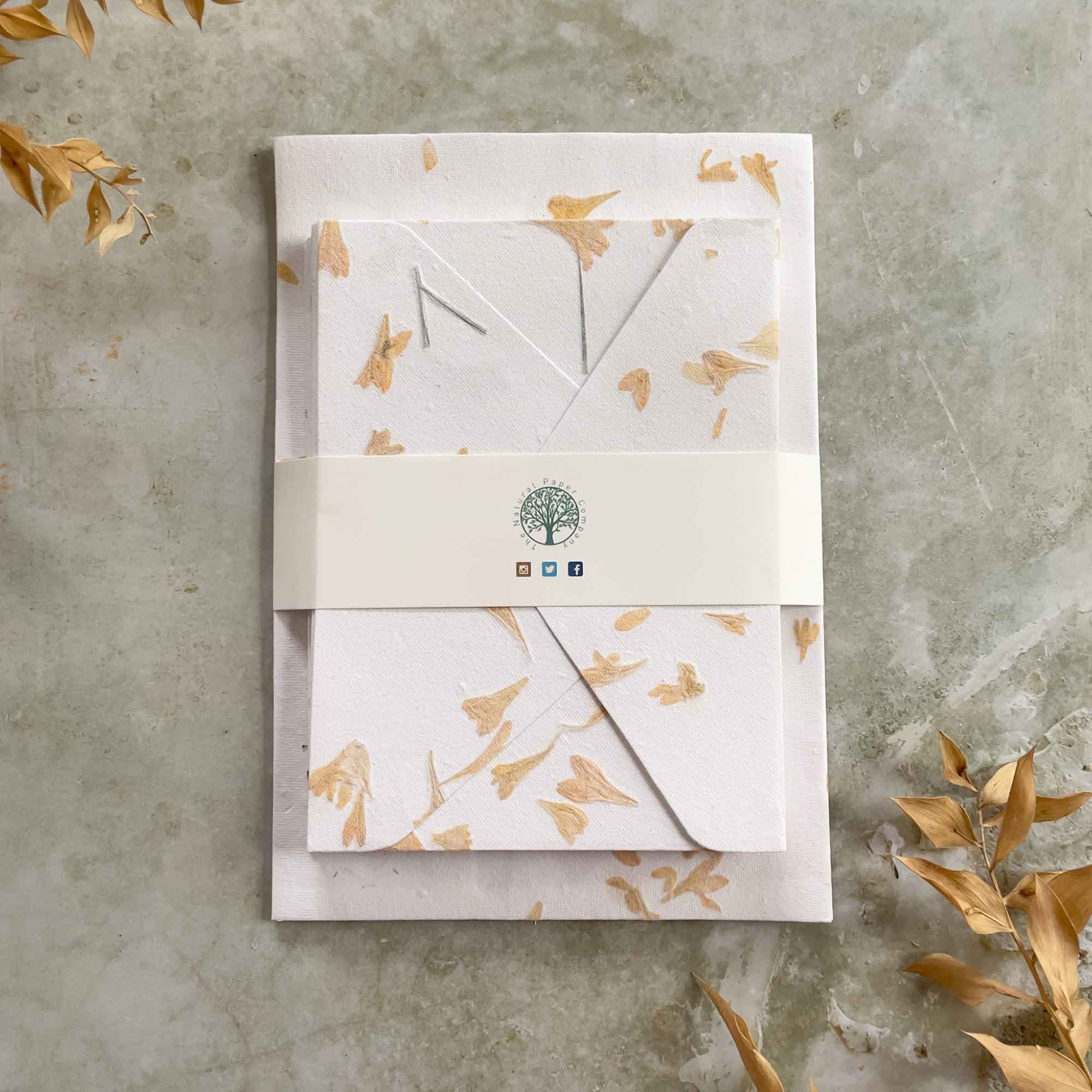 The Natural Paper Company – wholesale Stationery/notecard set – Gaillardia - Flower Handmade Paper and Envelopes | Recycled 6