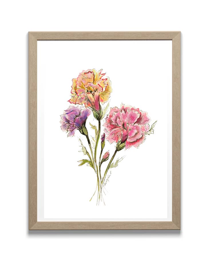 Carnation Watercolor, January Birth Flower, Tri-Color, Original Art Print for wholesale by Locksley Workshop