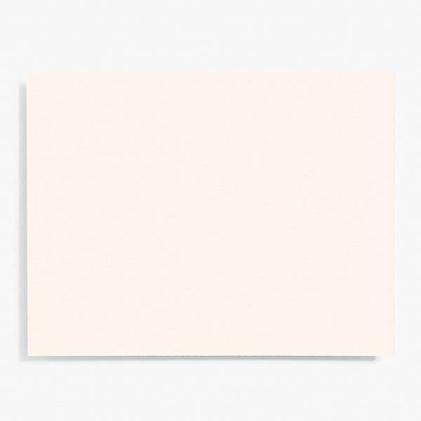 Paper Source Wholesale - Wholesale Stationery/Notecard Set - A2 Note Card Bulk Pack (100 pack)7