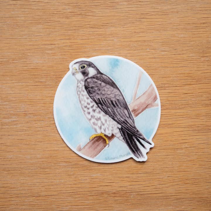 Laurel Mundy Illustration - Wholesale Sticker - Peregrine Falcon 3" Medium Vinyl Sticker Waterproof2