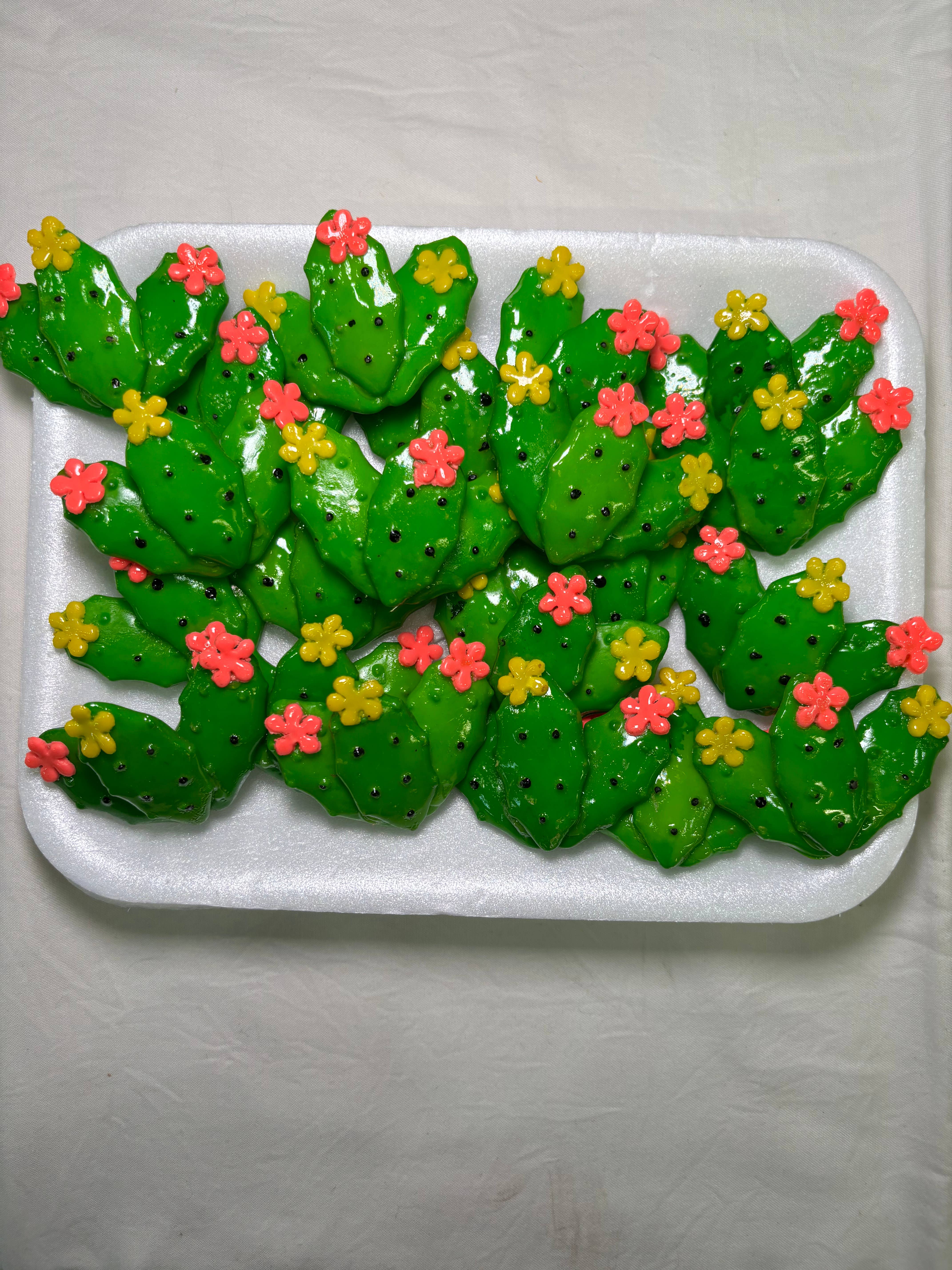 Magnets Market - Venta al por mayor Imanes - Imán de cocina con frutos de cactus (nopal)1