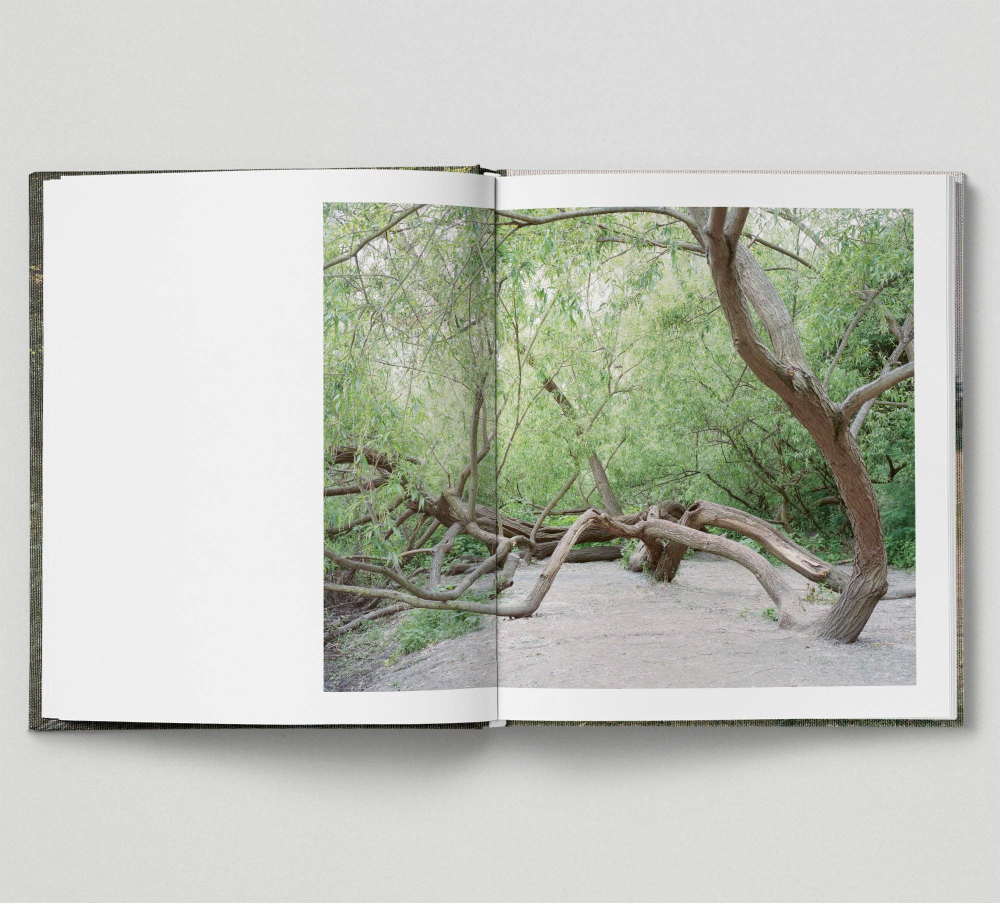 Hoxton Mini Press – wholesale Nature & Outdoors – The Hackney Marshes4