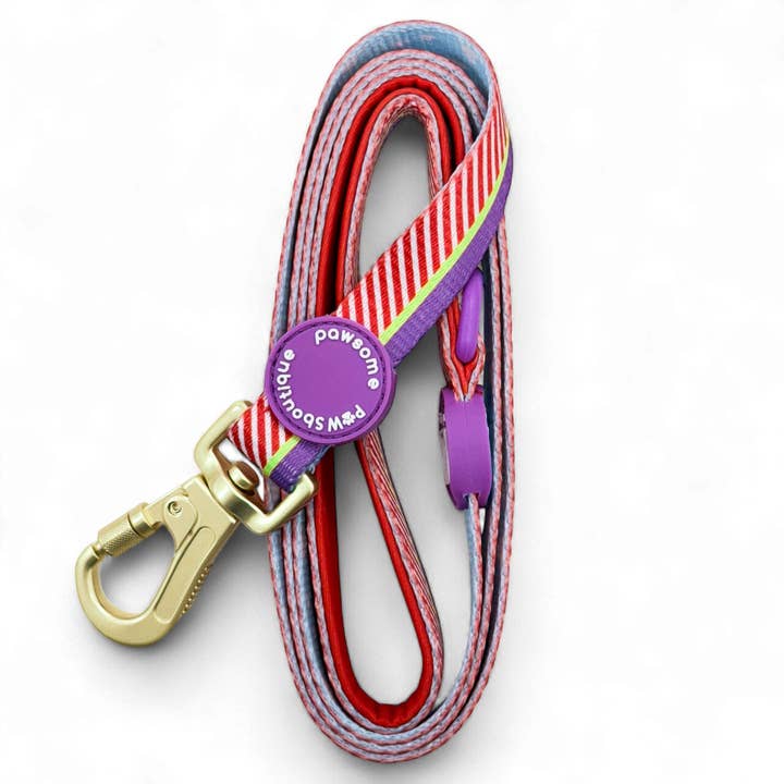Pawsome Paws - Wholesale Pet Leash - Dog - Disney© Lead - Buzz Lightyear