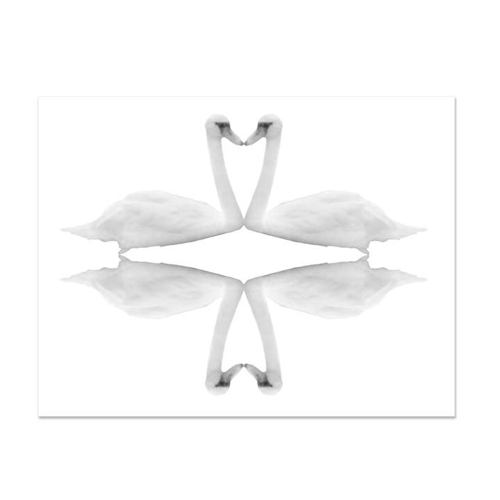 Ensemble de cartes pliées motif cygne pour la vente par Embued Photophiles