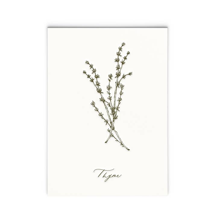 Thyme | Letterpress Herb Series Art Print for wholesale by Ciarra Claire