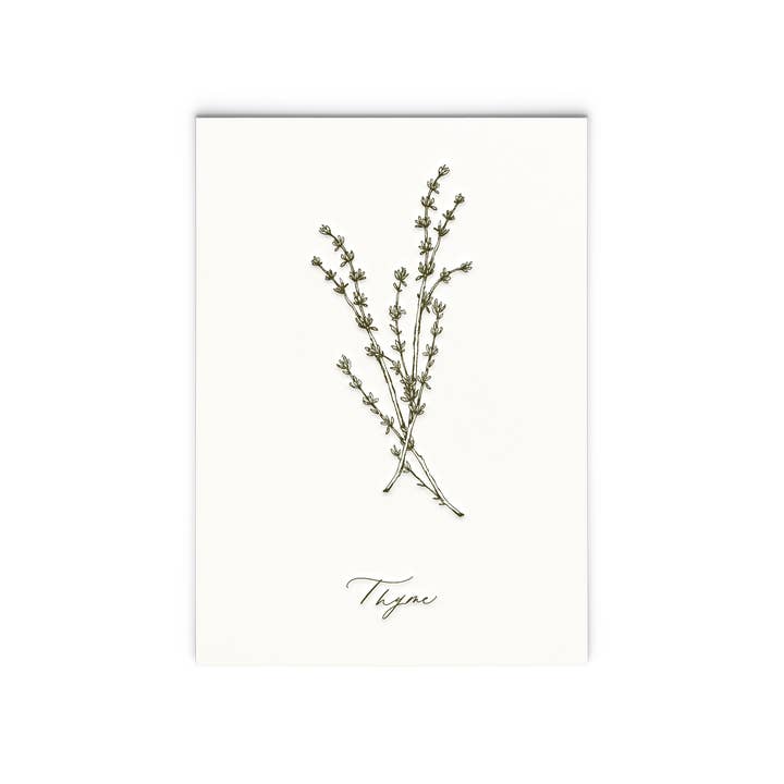 Thyme | Letterpress Herb Series Art Print for wholesale by Ciarra Claire
