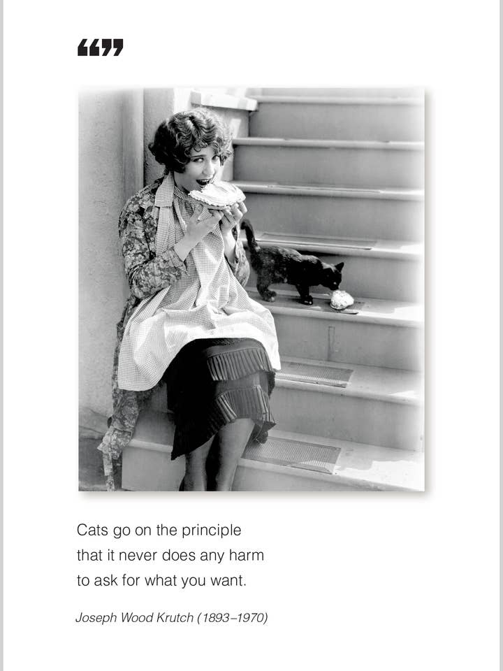 Cartão de felitações Cats go on All Ocasion por atacado de The Borealis Press Inc