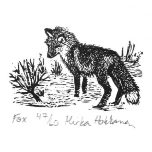 Fox Original Wood Engraving for wholesale by Mirka Hokkanen