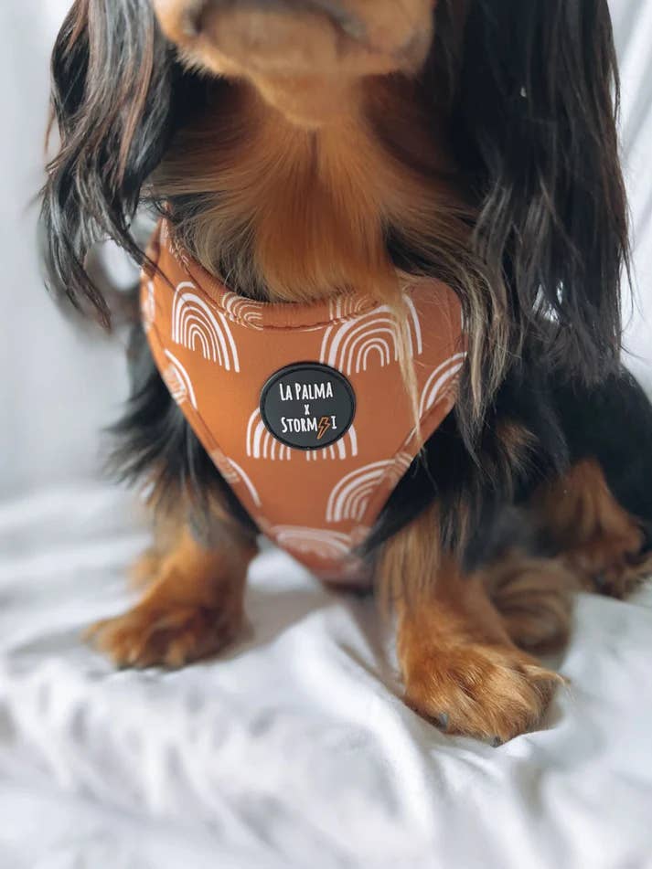 Airlee Harness for wholesale by La Palma Rhode