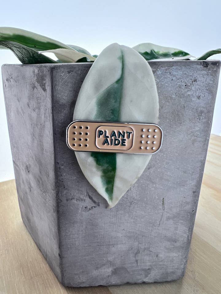 Plant Bandaid | Plant Safe Pin for wholesale by Casa Plant Club