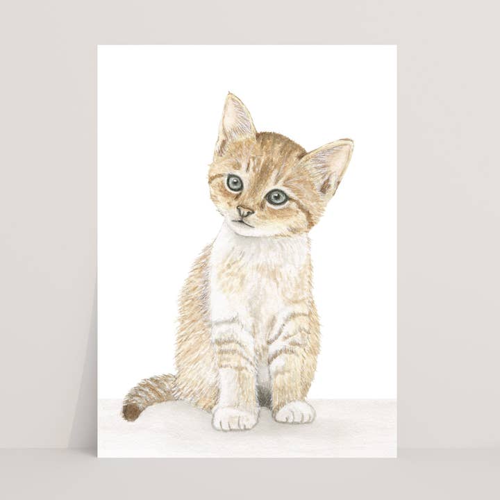 Appeloogje - Wholesale Everyday Greeting Card - Postcard cat0