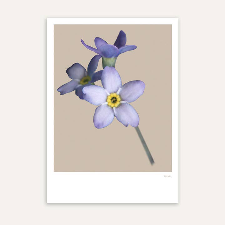 Forget-Me-Not 02 - Beige, Cartolina per la vendita all'ingrosso da parte di Rijkvol