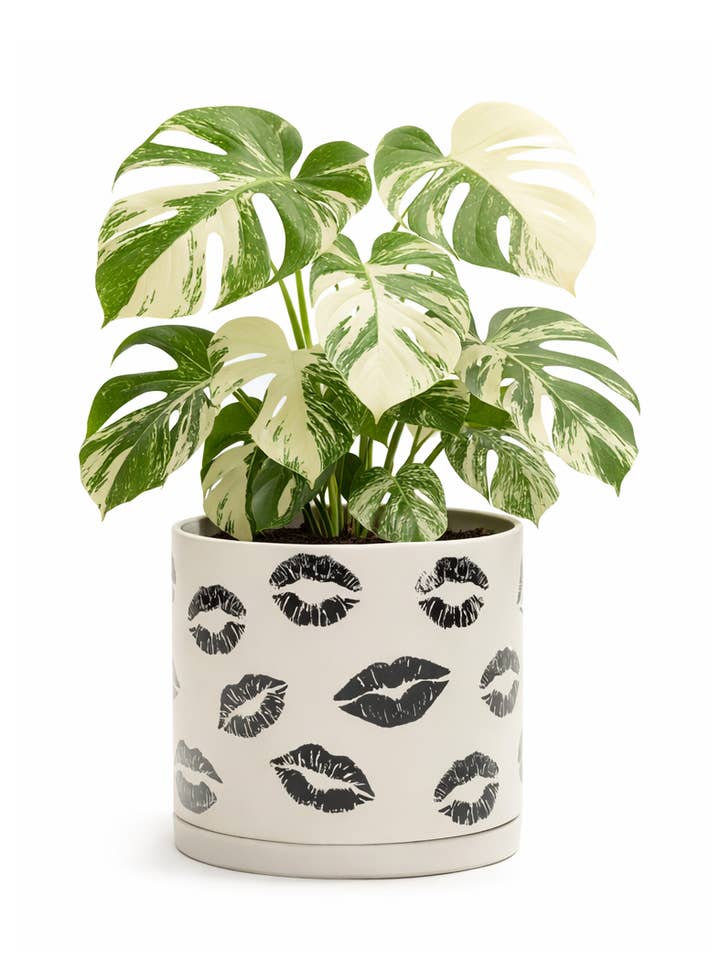 LIPS växtkruka | Off White för wholesale av Soul of the Party