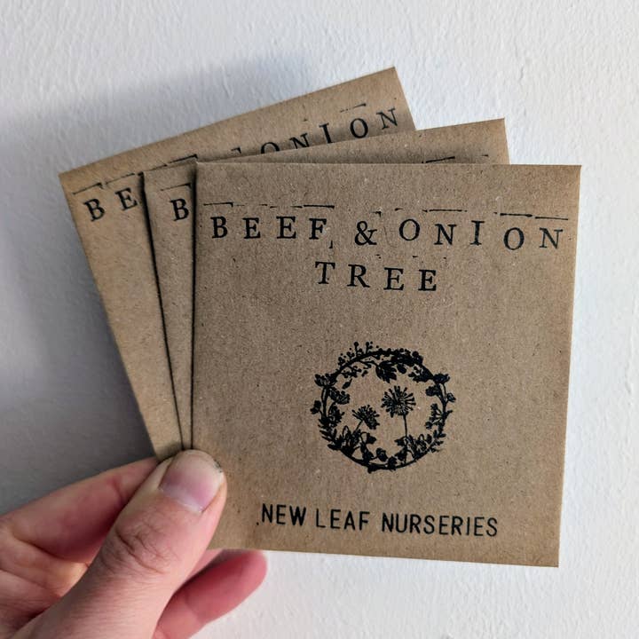 Beef & Onion Tree Seeds for wholesale by New Leaf Nurseries