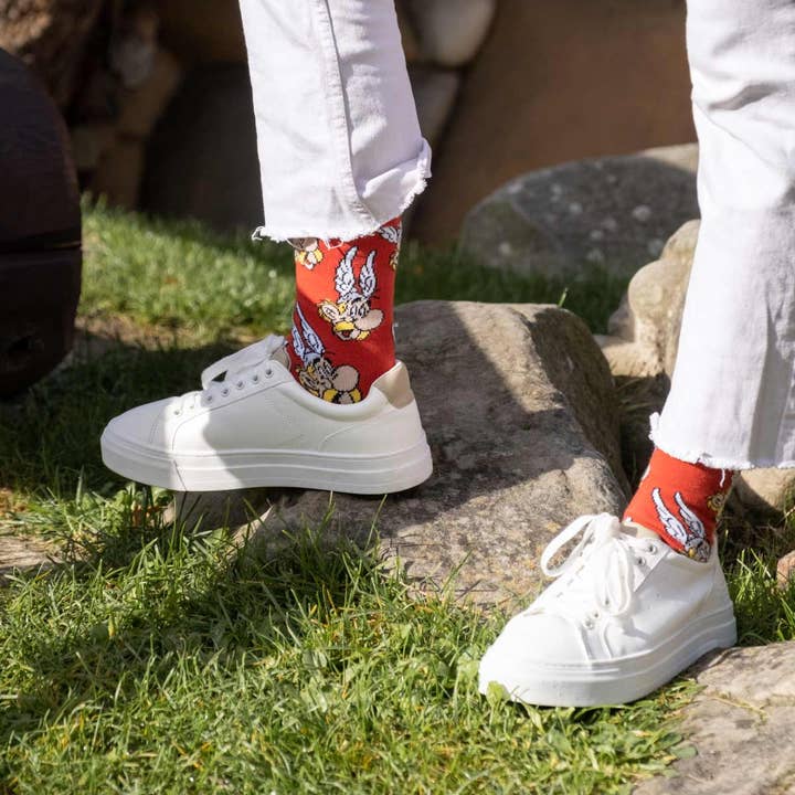Asterix socks for wholesale on Faire6