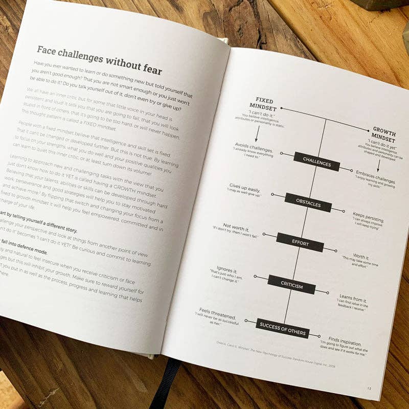 Awesome Inc - NZ - Wholesale Journal/Diary - I Am... Mindset & Gratitude Journal - 2 Variations - Age 16+3