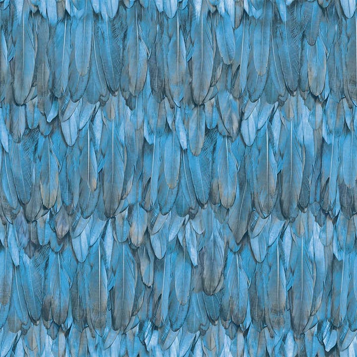 Walloro Luxury Embossed Wallpaper – Engroshandel Tapetrulle – Smukt fuglefjer præget tapet, moderne tekstureret vægbeklædning, stor 178 kvm rulle, dekorativt vægpapir, blåt tropisk tema