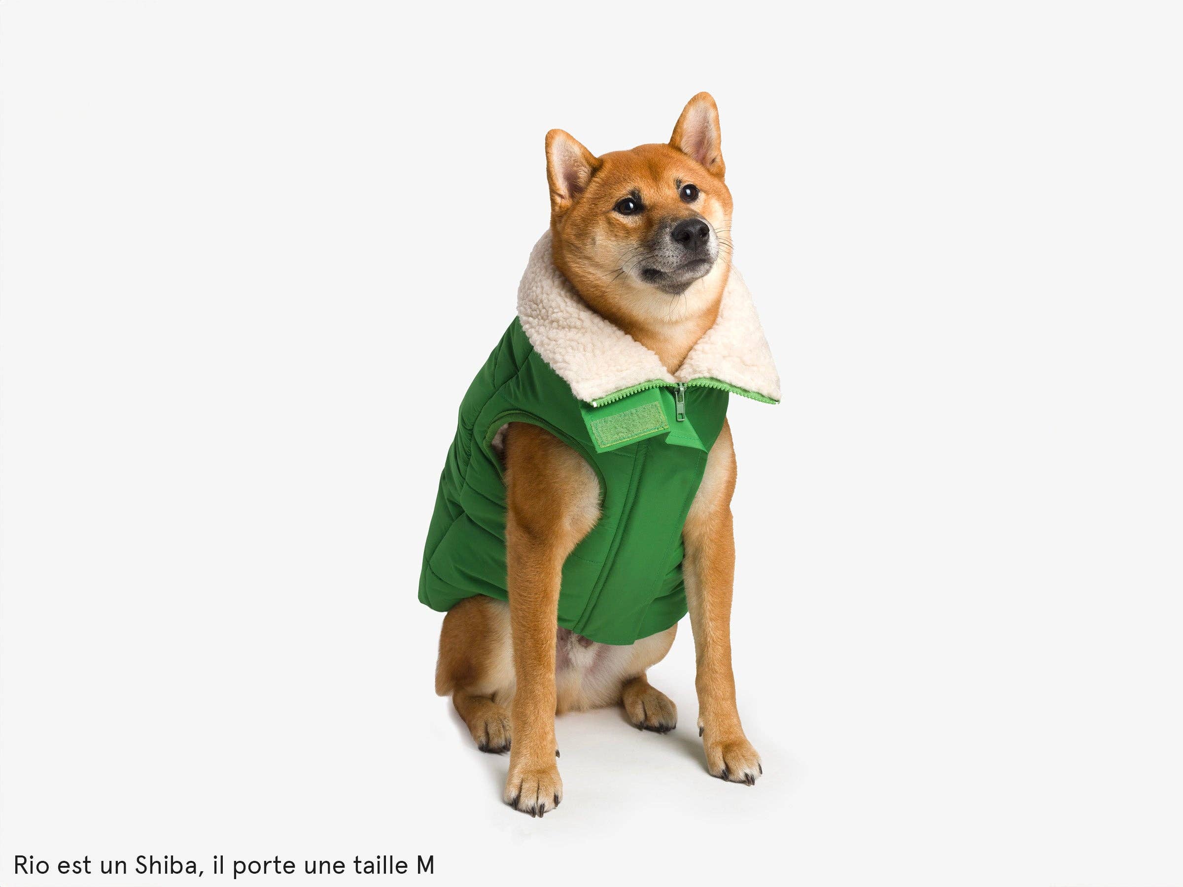 French Bandit - Wholesale Pet Coat - Dog - Thick dog jacket11