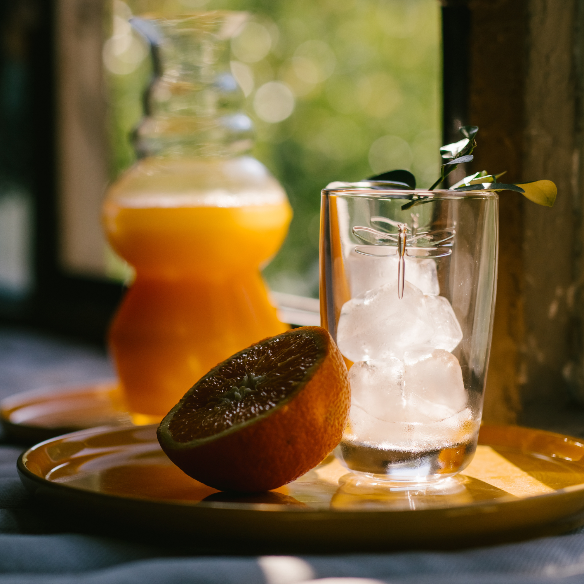 La Rochere - Wholesale Drinking Glass/Cup - Dragonfly Juice Glass Set-61