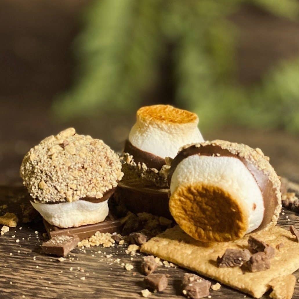 Base Camp Treats - Wholesale Chocolate Covered Sweets - Freeze Dried Fire Roasted S'mores2