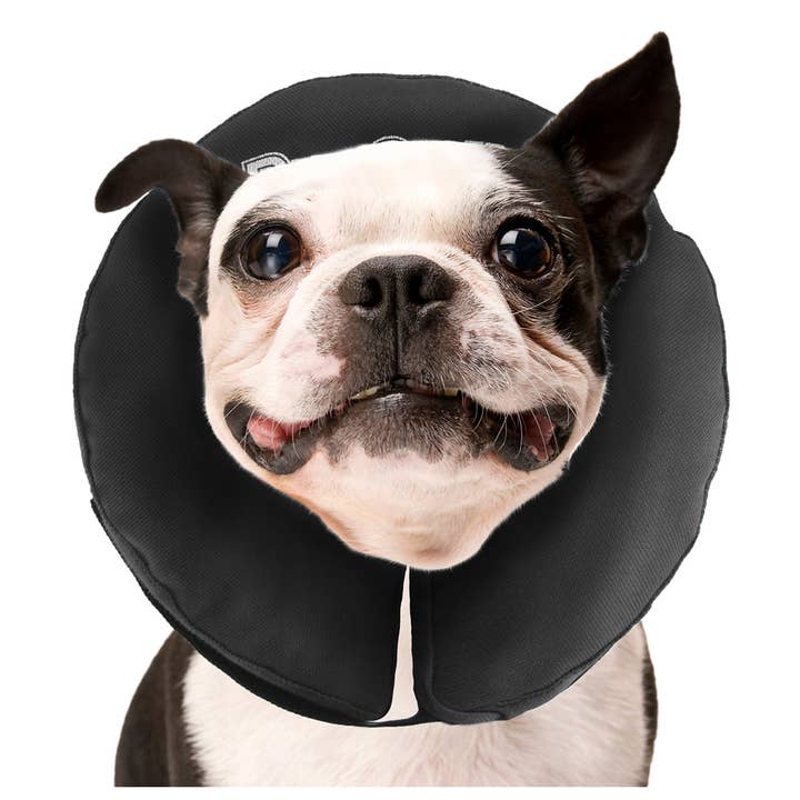 ZENPET - Wholesale Pet Collar - Dog - ZenCollar - Inflatable Recovery Collar6