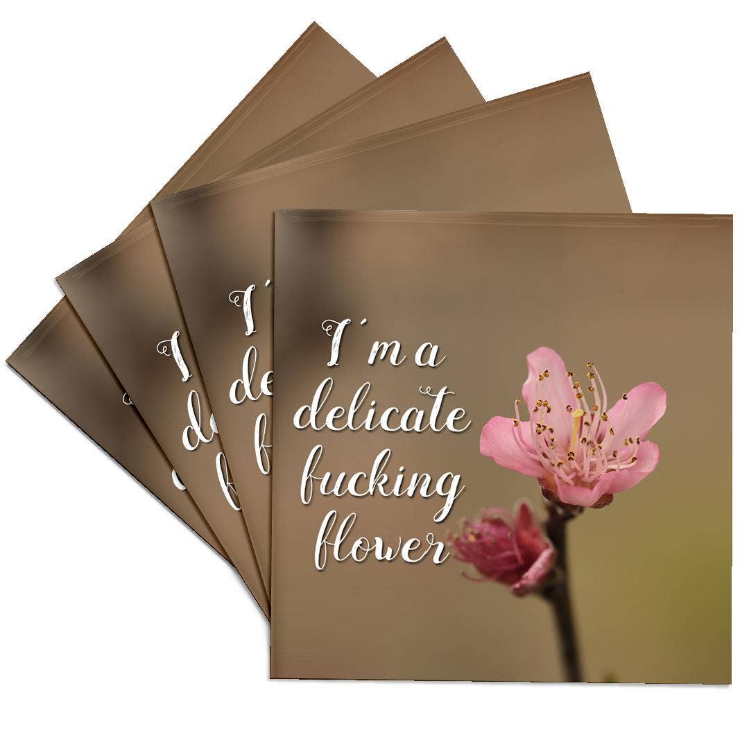 3dRose - Wholesale Coasters - 3dRose, Im a delicate fucking flower on a photograph of a peach tree blossom., Coaster0