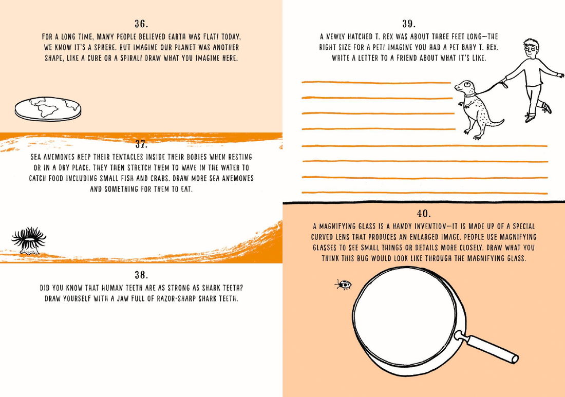 EDC Publishing - Wholesale Coloring & Activity Book - Kids & Baby - Be Creative Every Day: My Year of Discovery2