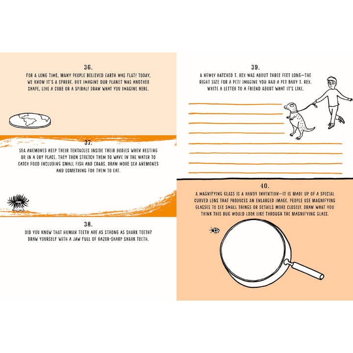 EDC Publishing - Wholesale Coloring & Activity Book - Kids & Baby - Be Creative Every Day: My Year of Discovery2