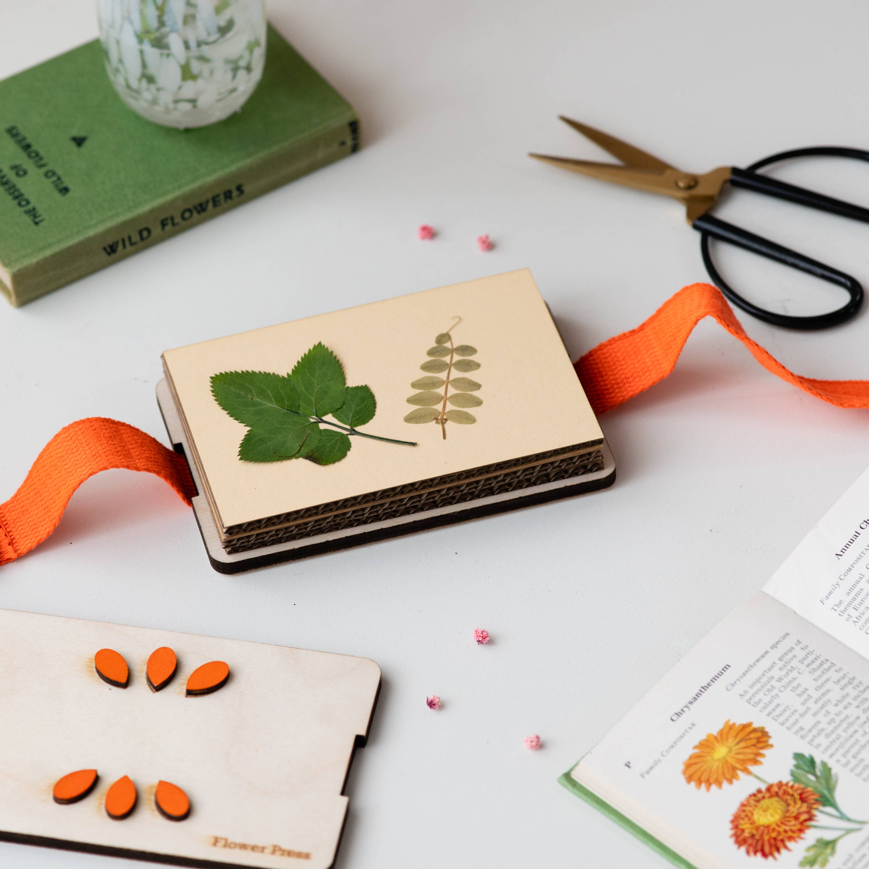 My Papercut Forest - Wholesale Doe-het-zelf-knutselset - Draagbare bloemenpers, zakformaat bloemenpers6