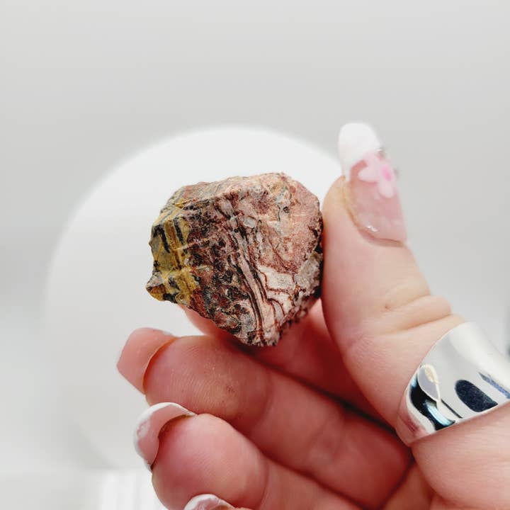 The Raven's Edge - Venta al por mayor Piedras/cristales espirituales - Reiki metafísico de piedra cruda de jaspe de piel de leopardo