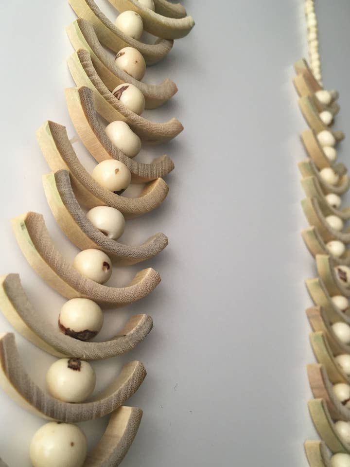 Desarrollar la expansión para venta al por mayor de Liliana Salazar