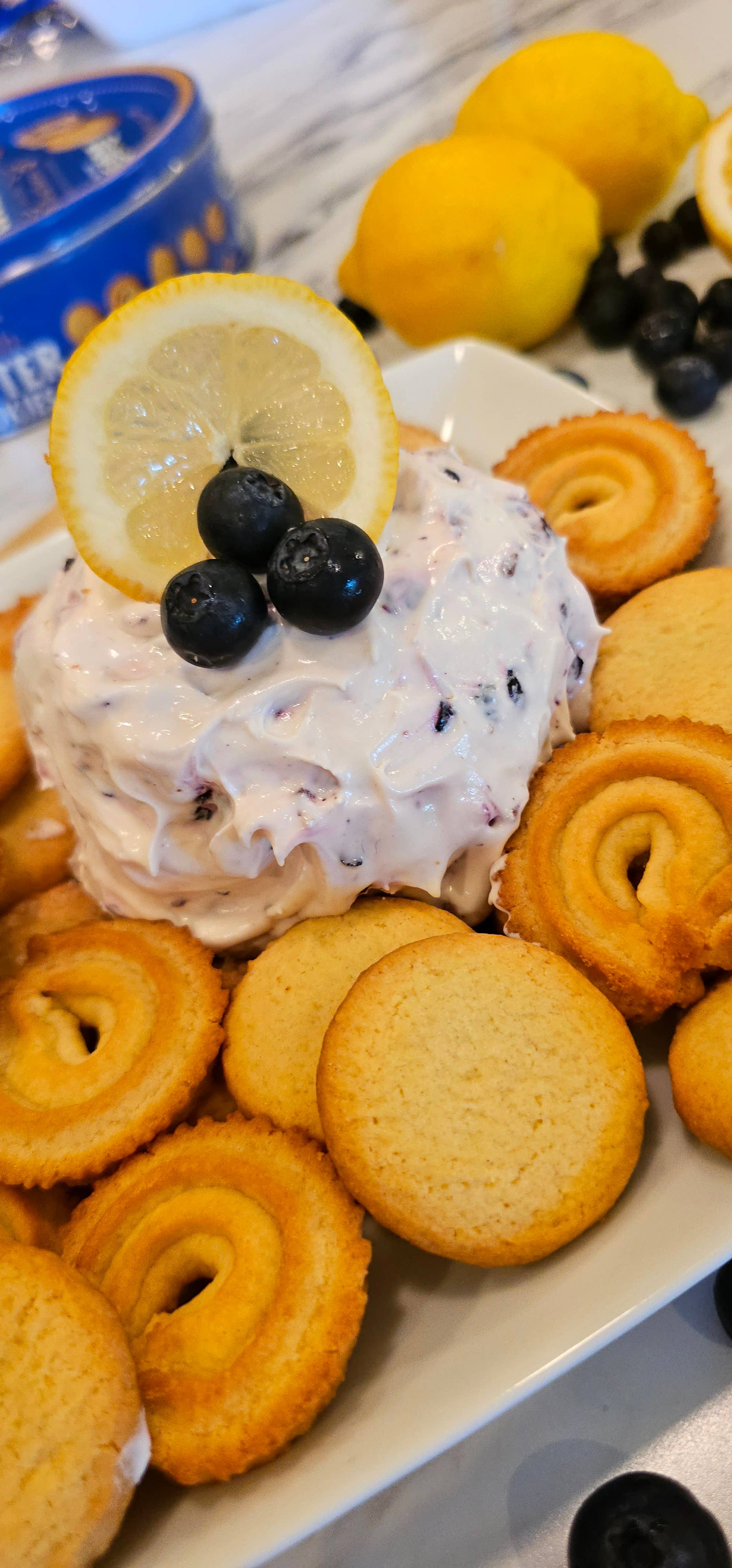 Savvy Gourmand - Wholesale Dip - Blueberry Lemon Cheeseball or Pie1