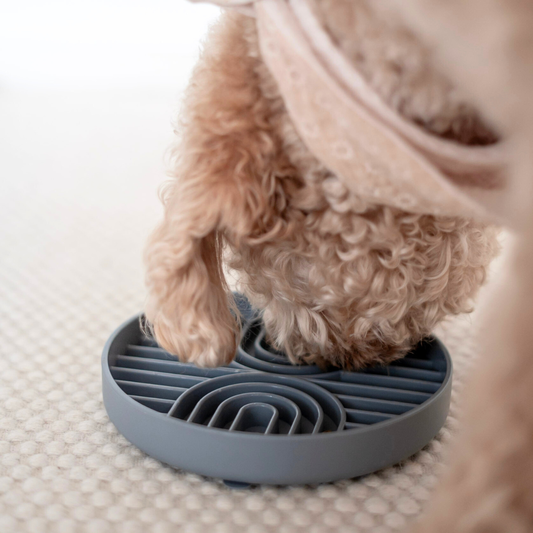 LOVIN'DOG - Wholesale Pet Bowl - Cat/Dog - Anti Schling Bowl & Lick Mat Grey 250ml3