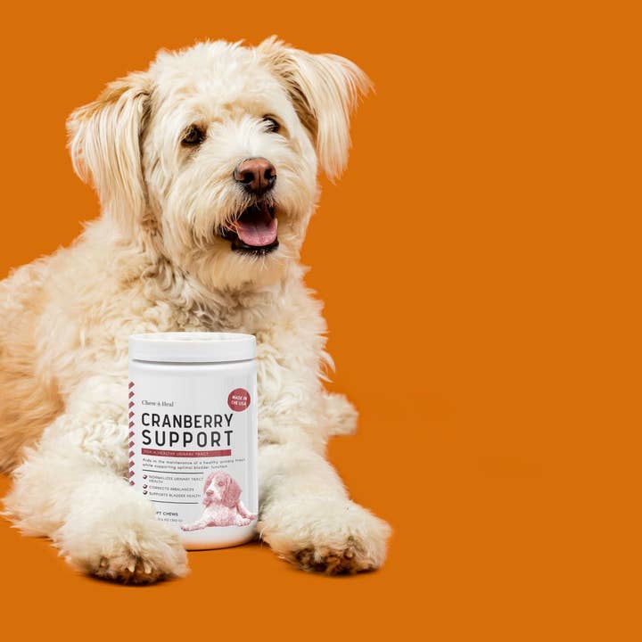 Chew + Heal - Wholesale Pet Supplement - Cat/Dog - UTI Treatment Cranberry Chews4