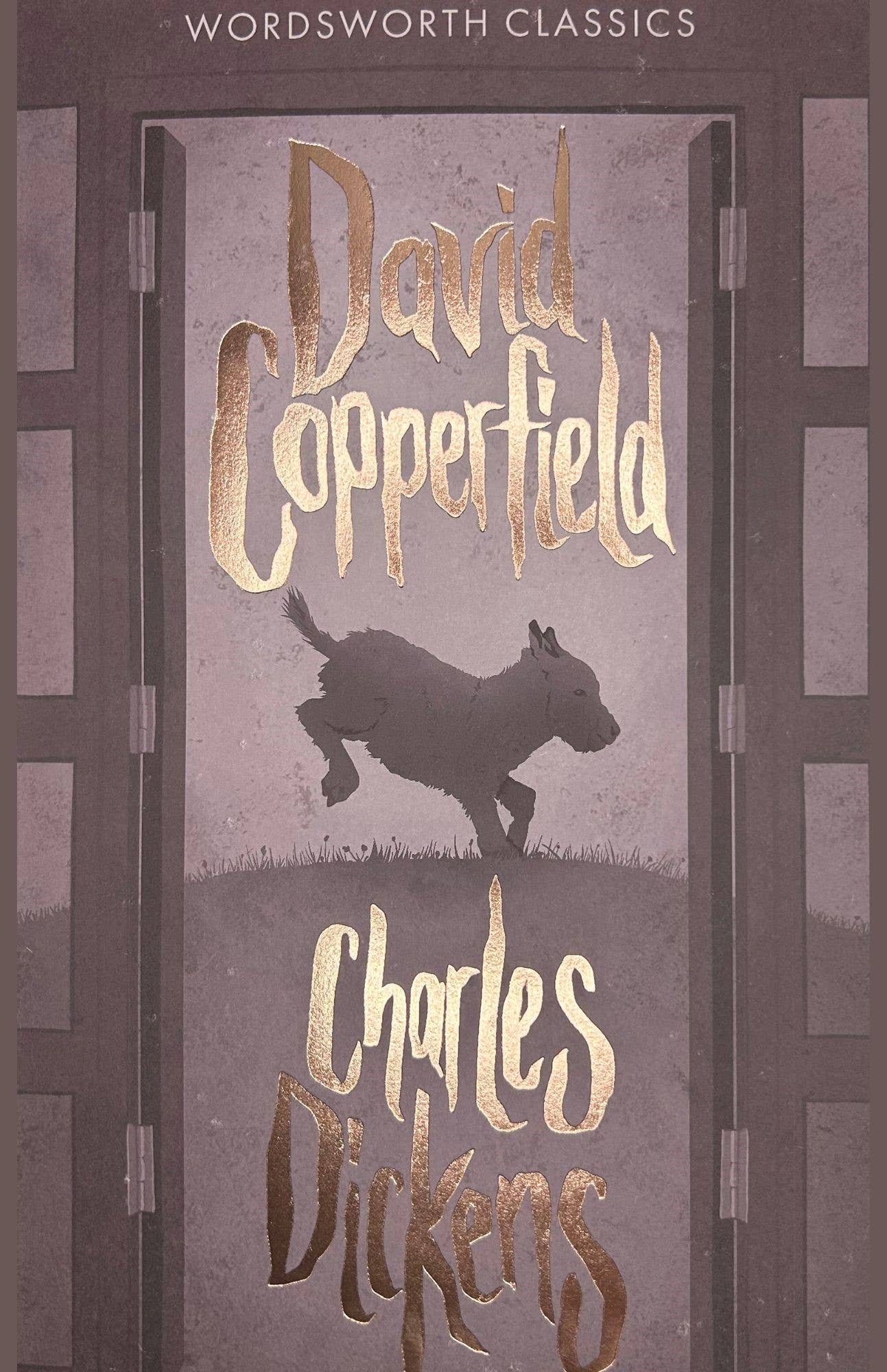 Marble City Press - Wholesale Classics - David Copperfield | Dickens | Wordsworth Classic | Book0