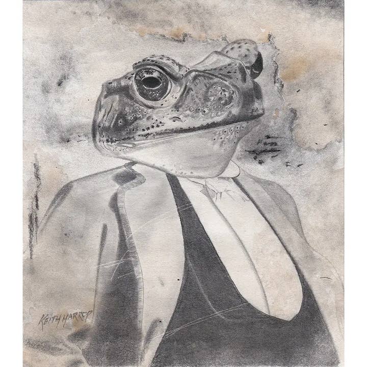 Keith Harrop - Pencil Art - Venta al por mayor Ilustración - Lámina (firmada): #6 - Toad. Dibujo a lápiz de estilo vintage