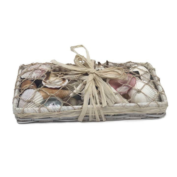 Beachcombers - Wholesale Decorative Tabletop Object - SALE White Long Shell Basket