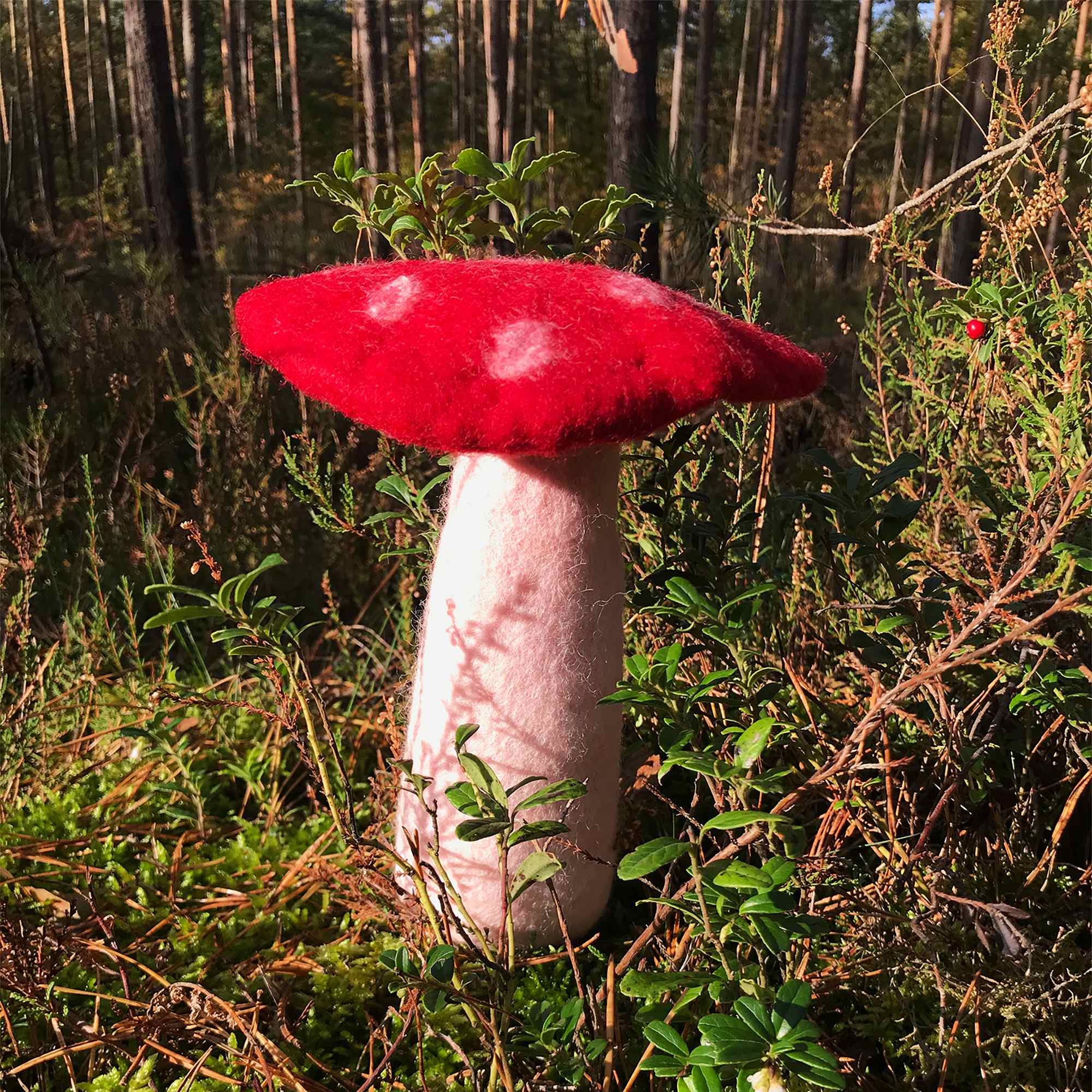 Tribal Trade GmbH - Vendita all'ingrosso Statuette decorative - Fungo amanita muscaria in feltro rosso, disponibile in 3 dimensioni26