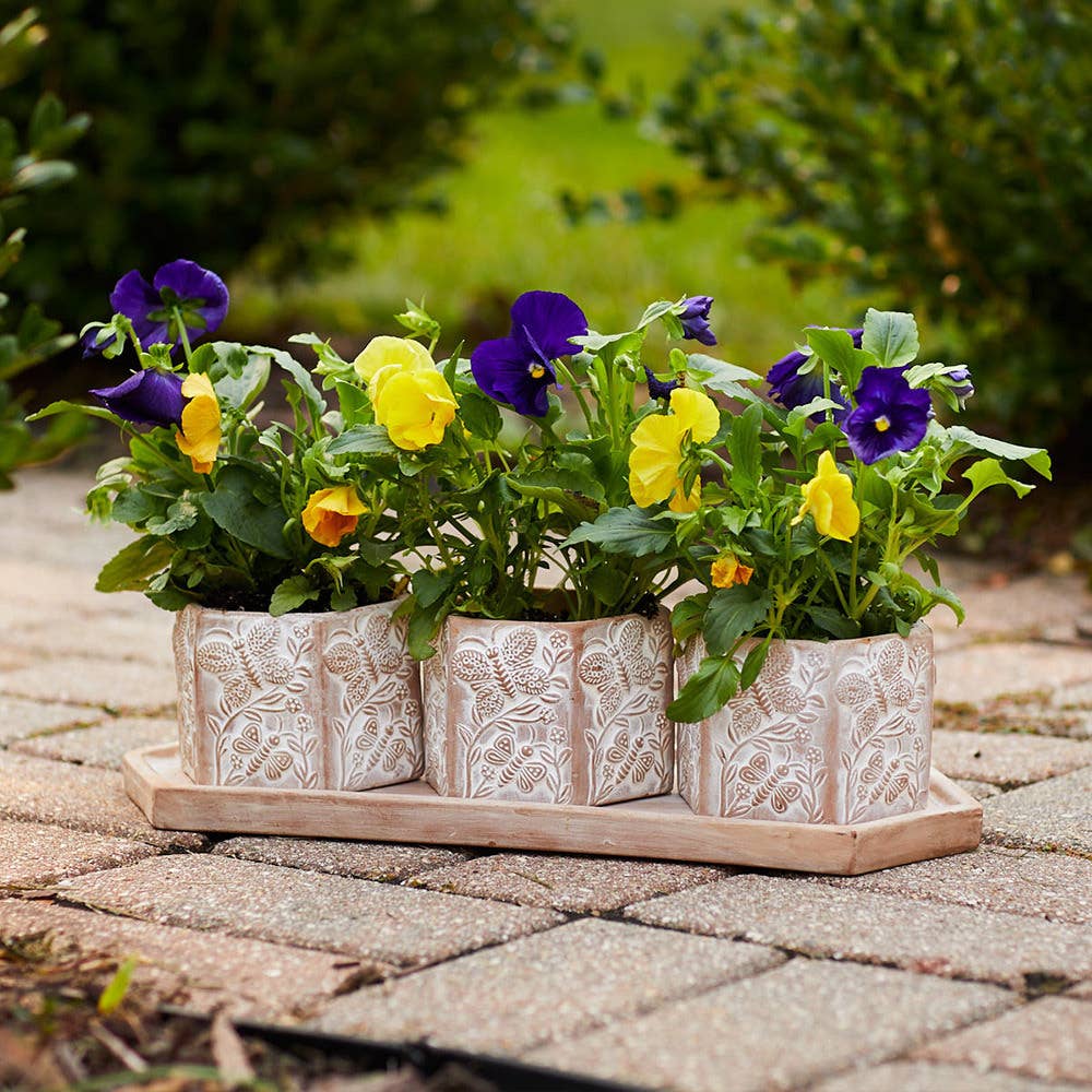 SERRV International - Wholesale Plant Pot - Basanta Meadow Planters - Set of 31