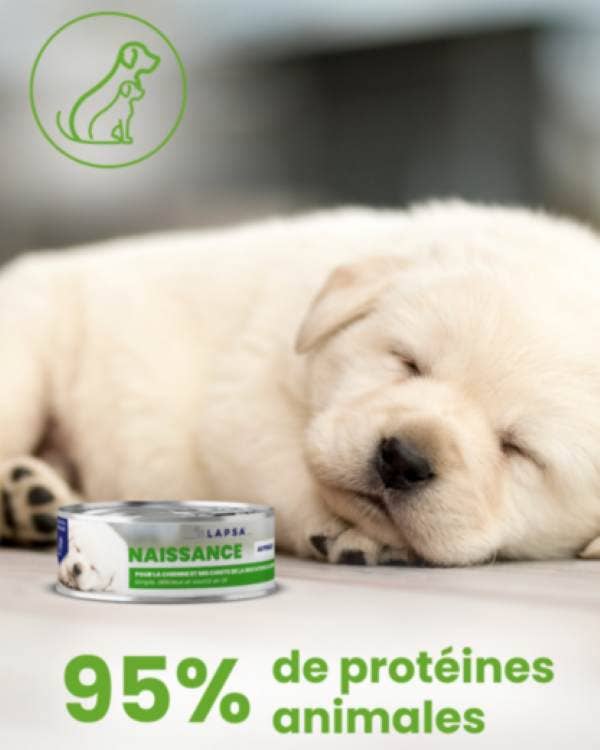 LAPSA - Wholesale Pet Food - Dog - Lapsa - Puppy Starter - Chicken Mousse2