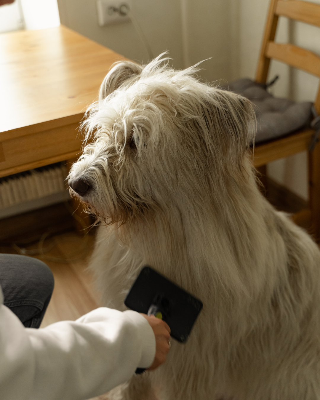 Masco Beauty - Wholesale Pet Spray - Dog - “No Drama” Detangling Spray for dogs2