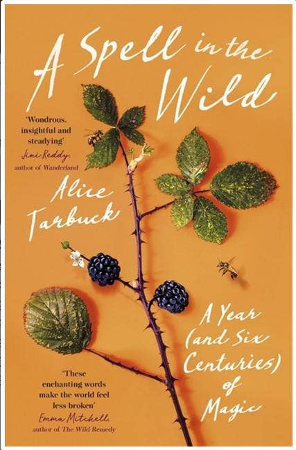 Microcosm Publishing & Distribution - Wholesale Body, Mind & Spirit - Spell in the Wild: A Year (and Six Centuries) of Magic0