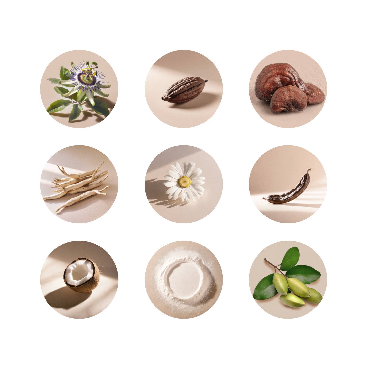 DreamTech® – wholesale Powdered health drink – MoonBrew™ Adaptogenic Sleep Cacao | Reishi & Ashwagandha 5